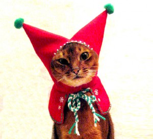 cat-elf-hood-christmas-costume